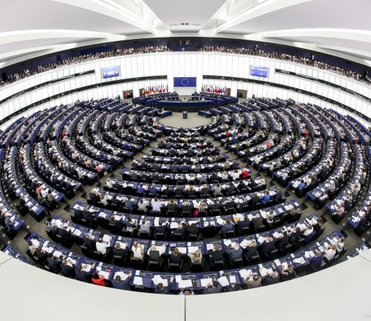 Die Rechtspopulisten in der EU: Vereinte Front oder tief gespaltene Kräfte im neuen Europäischen Parlament?