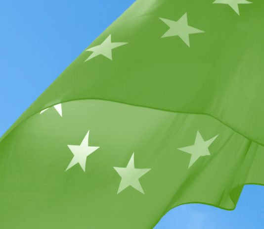 Der Green Deal – Europas „Mann-auf-dem-Mond-Moment“?